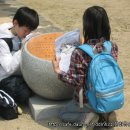 풍영초교 이미지