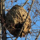 대원자연어린이집 이미지