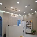 바하 고양이 병원 이미지