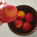 흥부가반해버리고놀부가기절한닭강정 이미지