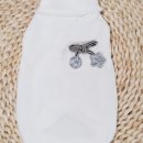 댕댕이,봄 이미지