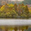 호숫가의아침 이미지