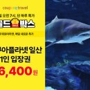 쿠팡 이미지