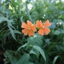 숲속의 하루 이미지