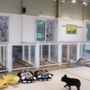 펫츠가든 이미지