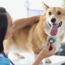 이지훈동물병원 이미지