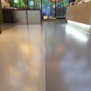 하이댕댕 이미지