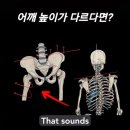 호수공원7 무대섬 이미지