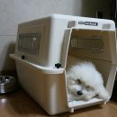 (주)펫코 이미지