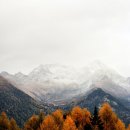 호평로49 이미지