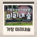 북두칠성 | 거창 반값여행 숙소 추천 미리내숲 북두칠성 후기