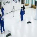 김천유도관 이미지