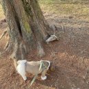 용봉동 새봄어린이공원 이미지