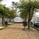 참숯한우천국팔당점 이미지