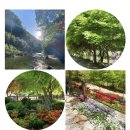 캠핑장펜션 이미지