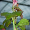 예정농장 이미지