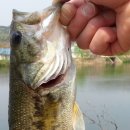 송산2교 이미지