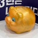 돼지저금통 - 마포구 어울마당로 146-1 | 돼지저금통