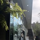 강남역 카페 강남역 대형카페 셀렉티드닉스 초코 바나나 티라미수 후기
