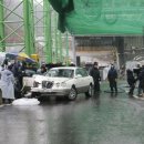 다일락스포렉스 이미지