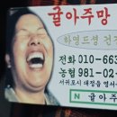 영서농장 | 🍊 귤값보다 저렴한 한라봉? 제주 귤아주망 농장 직송 실구매 후기!