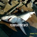 동삼1동-9 이미지