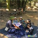 숲어린이집 네이버블로그