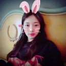 달토끼24 이미지