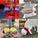 강변로1(동) | 강릉프리패스 이용한 강릉놀거리 강릉여행코스 사용후기 꿀팁 할인율