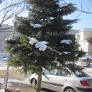 횡성온천 이미지