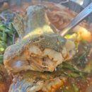 그집쏘가리 이미지