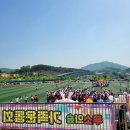 루소의숲어린이집 | 일상기록 어린이집 루소의숲 운동회!