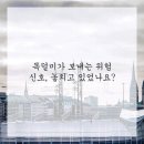 수복한의원 네이버블로그