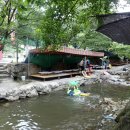 요미능이백숙 이미지