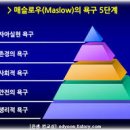 교육심리학 | 교육심리학으로 말아주는 아케인1 후기(feat. 징크스와 실코의 관계)