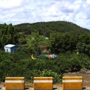 청수농촌체험휴양마을 이미지