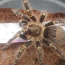 성채농장 이미지