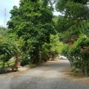 만수장 여관 이미지