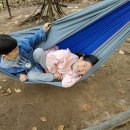 오패산 유아숲체험원 이미지