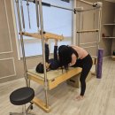 타이거휘트니스 이미지