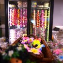 지상낙원 이미지