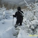 입실약국 이미지