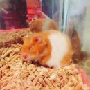 서초구립 방배1동제1 경로당 | [서울 서초] 마음이 편안해지는 방배동 취미미술 ‘서리화실’ 아크릴 원데이 클래스 후기