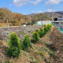 북풍농장 이미지