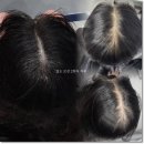 제이나니 이미지