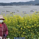 04.18.진도 모도에서 이미지