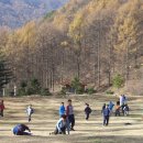 신답초교 이미지