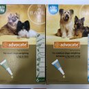 부평제일약국 이미지