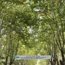 충열1길 이미지