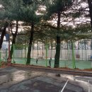 황송인조잔디구장 이미지